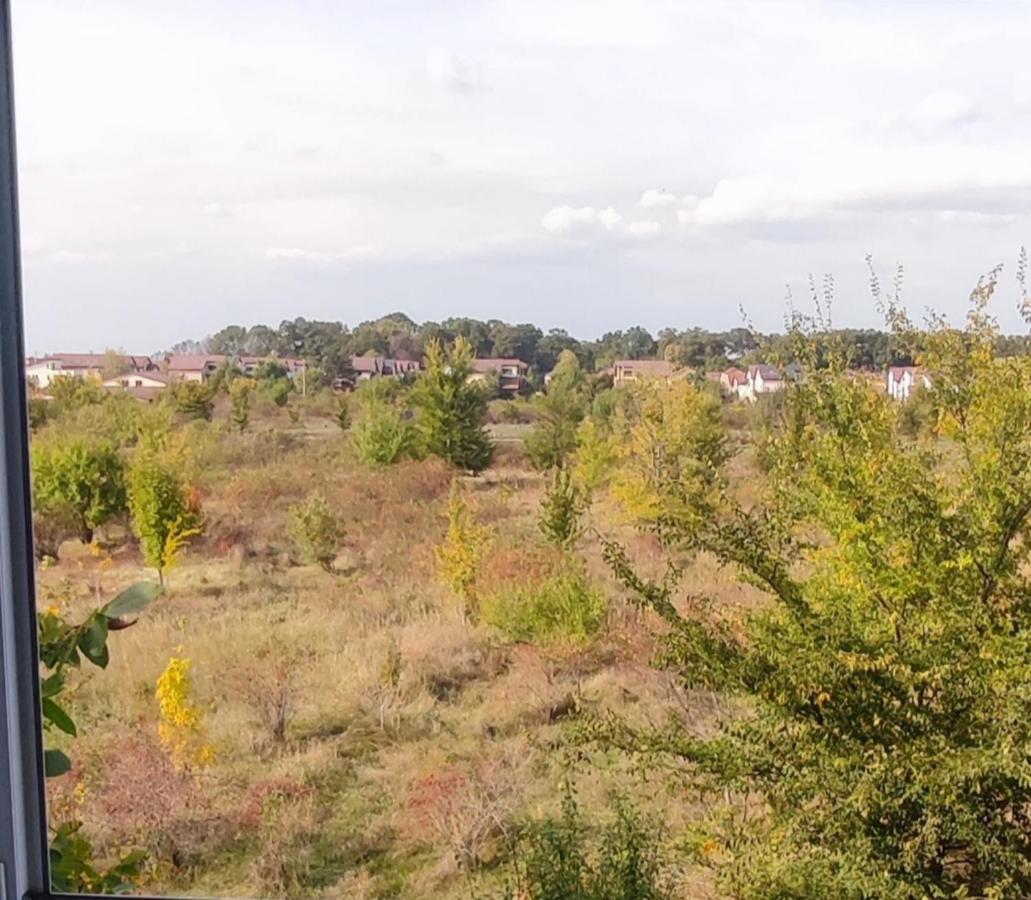 Oaza de liniște Daire Corbeanca Dış mekan fotoğraf